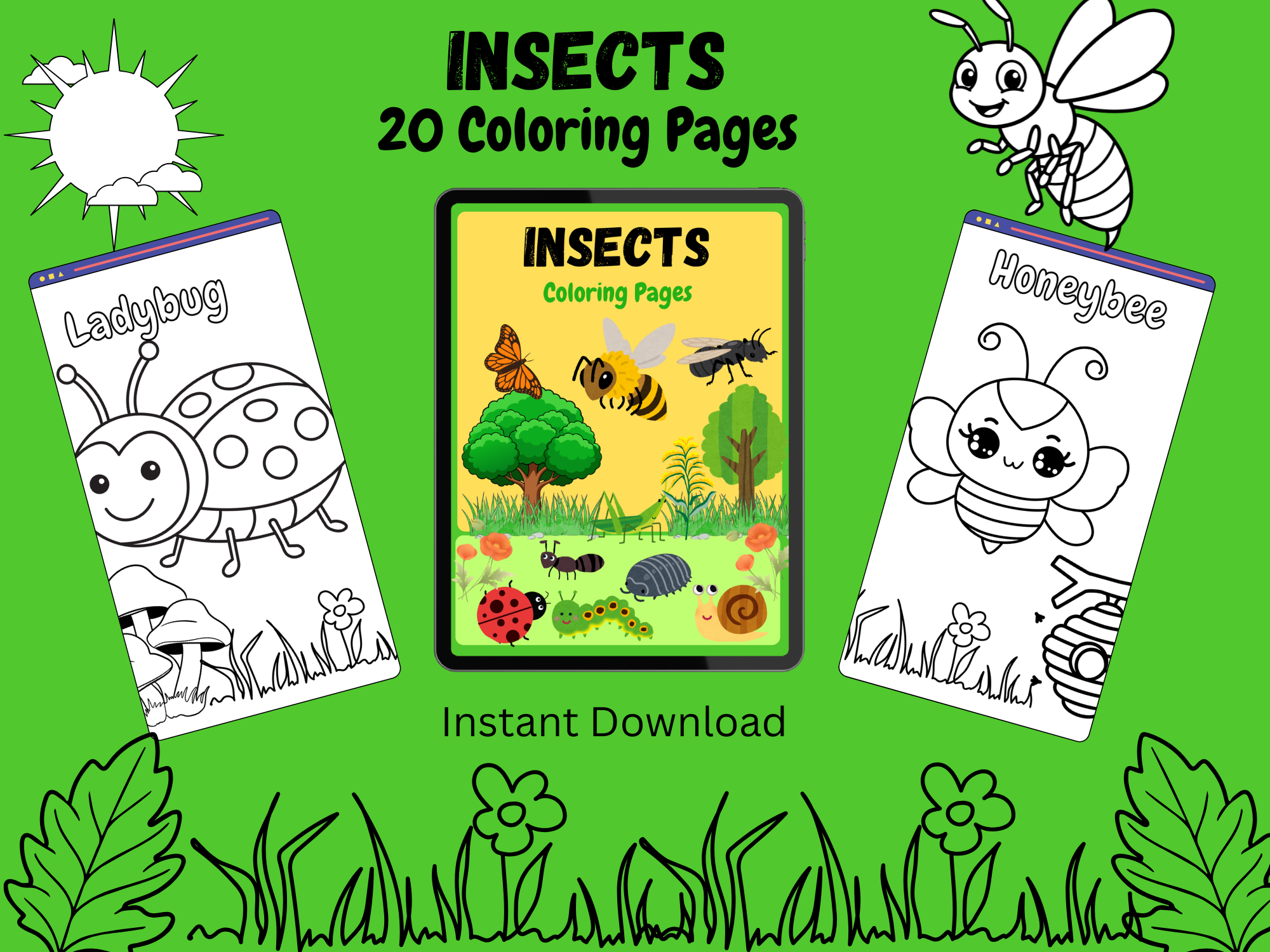 Insects Coloring Pages